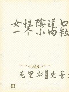 女性阴道口起了一个小肉粒怎么办