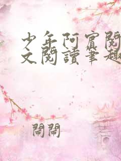 少年阿宾阅读全文阅读笔趣阁