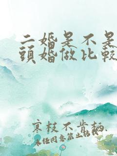 二婚是不是会和头婚做比较吗