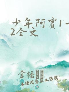 少年阿宾1一72全文