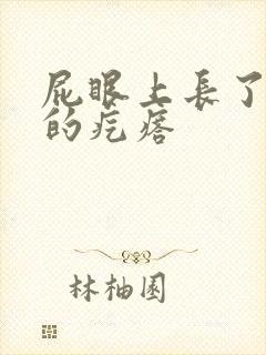 屁眼上长了硬硬的疙瘩