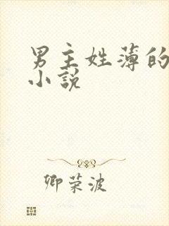 男主姓薄的全部小说