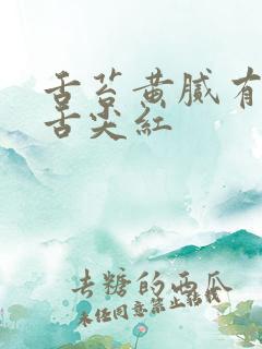 舌苔黄腻有裂纹舌尖红