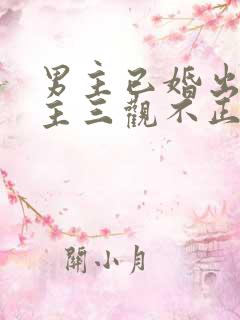 男主已婚出轨女主三观不正小说