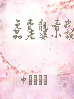 免费观看我的极品老婆小说