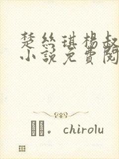 楚丝琪杨叔主角小说免费阅读全文美人似香