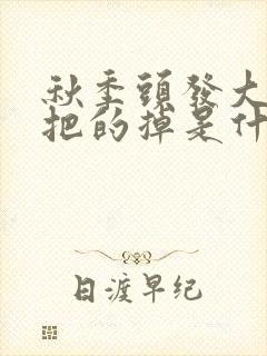 秋季头发大把大把的掉是什么原因