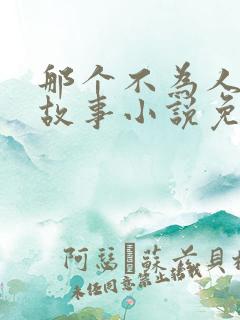 那个不为人知的故事小说免费阅读全文