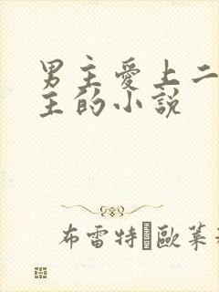 男主爱上二婚女主的小说