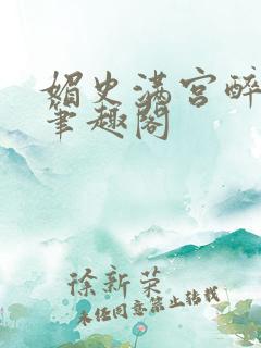 媚史满宫醉小说笔趣阁