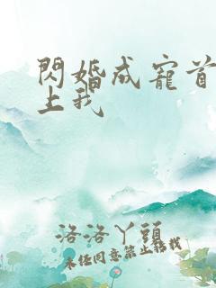 闪婚成宠首富爱上我