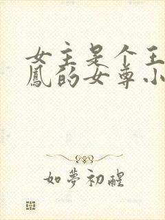 女主是个王爷姓凤的女尊小说