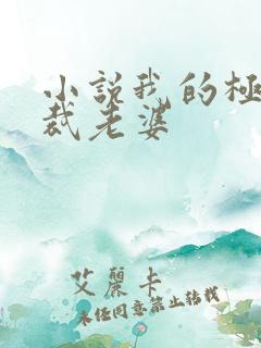 小说我的极品总裁老婆