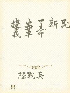 提出了新民主主义革命