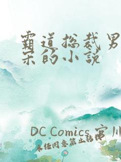 霸道总裁男主姓宋的小说