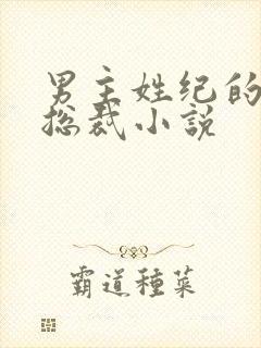 男主姓纪的霸道总裁小说