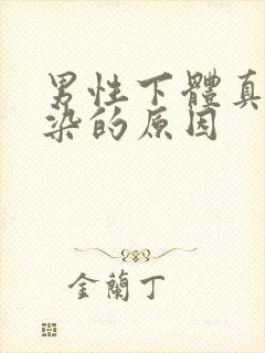 男性下体真菌感染的原因