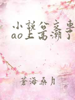 小说公交车被cao上高潮了