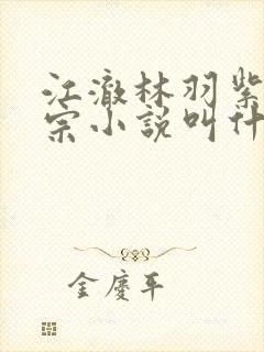 江澈林羽紫霄剑宗小说叫什么