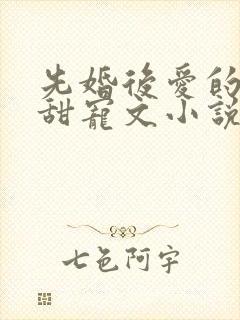 先婚后爱的豪门甜宠文小说