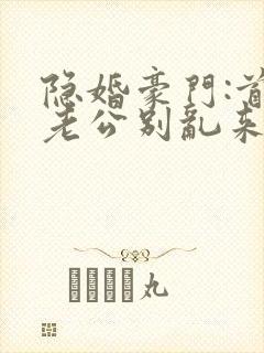 隐婚豪门:首席老公别乱来