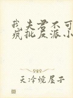 我夫君不可能是疯批反派小说