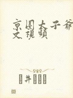 京圈太子爷甜宠文视频