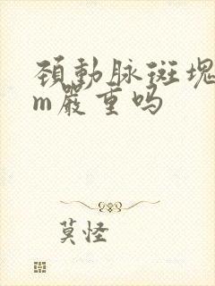 颈动脉斑块9mm严重吗