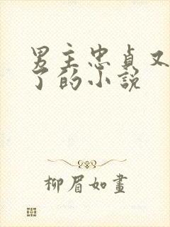 男主忠贞又出轨了的小说