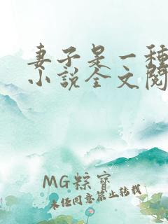 妻子是一种感觉小说全文阅读