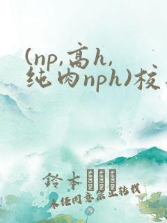 (np,高h,纯肉nph)校园