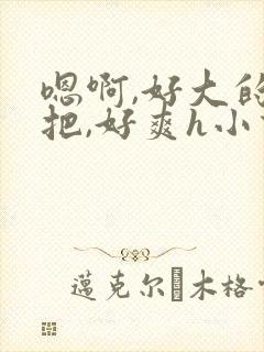 嗯啊,好大的几把,好爽h小说