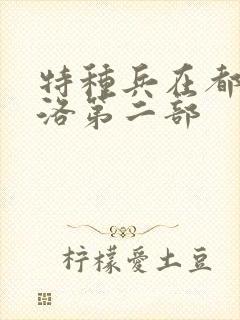 特种兵在都市杨洛第二部