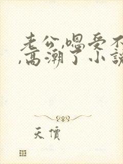 老公,嗯受不了,高潮了小说