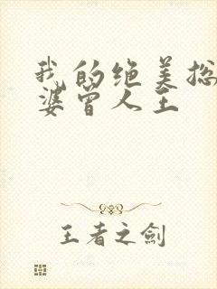 我的绝美总裁老婆曾人王