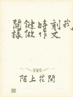 关键时刻我在那样做作文