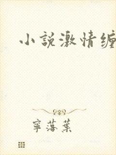 小说激情缠绵
