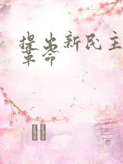 提出新民主主义革命