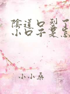 阴道口裂了好多小口子是怎么回事