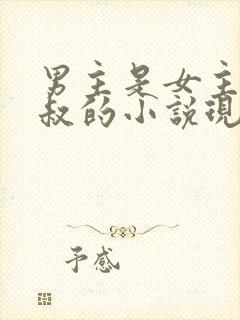 男主是女主小叔叔的小说现代言情