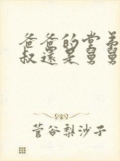 爸爸的堂弟叫叔叔还是舅舅