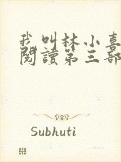 我叫林小喜全文阅读第三部