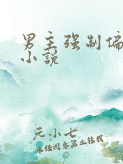 男主强制偏执的小说