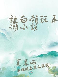 被白领玩弄到高潮小说