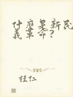 什么是新民主主义革命?