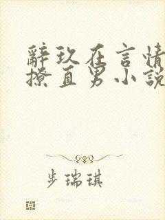 辞玖在言情文里撩直男小说