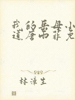 我的岳母小说林道唐雨菲免费阅读