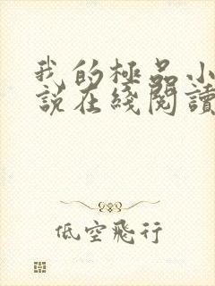 我的极品小姨小说在线阅读全文免费