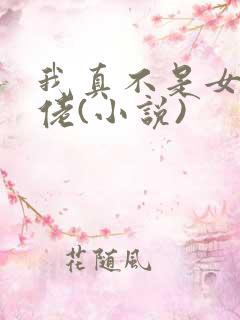 我真不是女装大佬(小说)