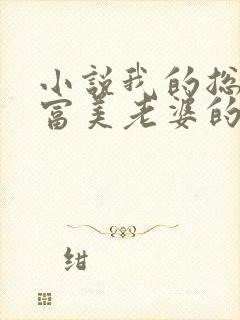 小说我的总裁白富美老婆的免费阅读